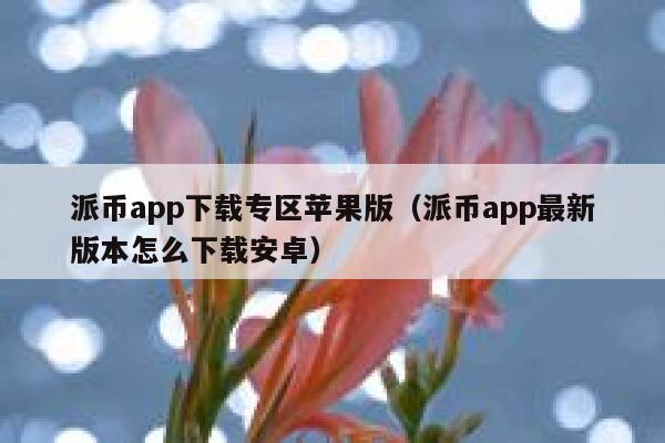 派币app下载专区苹果版（派币app最新版本怎么下载安卓） 第1张