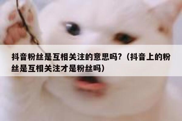 抖音粉丝是互相关注的意思吗?(抖音上的粉丝是互相关注才是粉丝吗) 第1张 抖音粉丝是互相关注的意思吗?(抖音上的粉丝是互相关注才是粉丝吗) 第1张