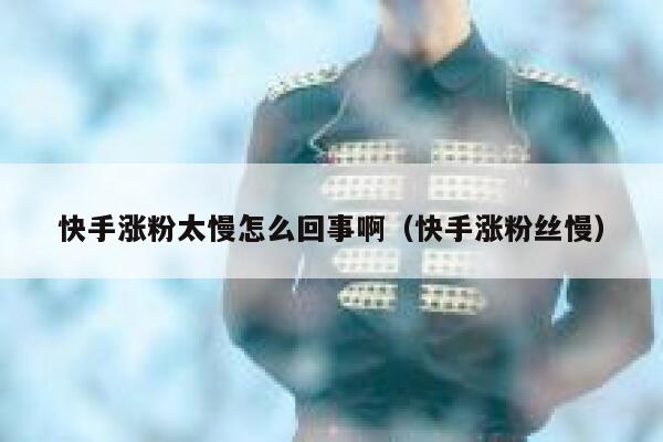 快手涨粉太慢怎么回事啊(快手涨粉丝慢) 第1张 快手涨粉太慢怎么回事啊(快手涨粉丝慢) 第1张