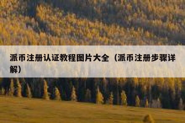 派币注册认证教程图片大全（派币注册步骤详解） 第1张