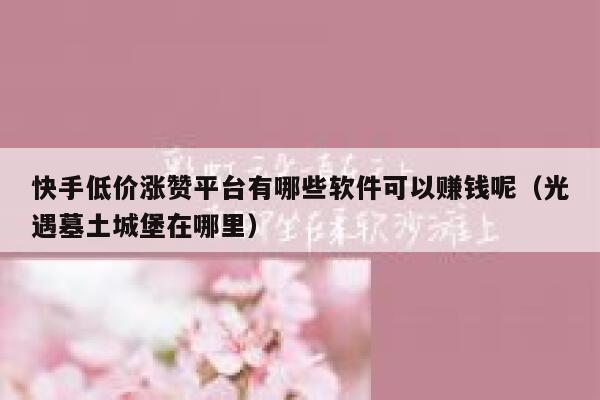 快手低价涨赞平台有哪些软件可以赚钱呢（光遇墓土城堡在哪里） 第1张