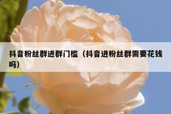 抖音粉丝群进群门槛（抖音进粉丝群需要花钱吗） 第1张