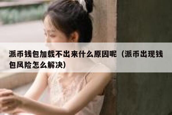 派币钱包加载不出来什么原因呢（派币出现钱包风险怎么解决） 第1张