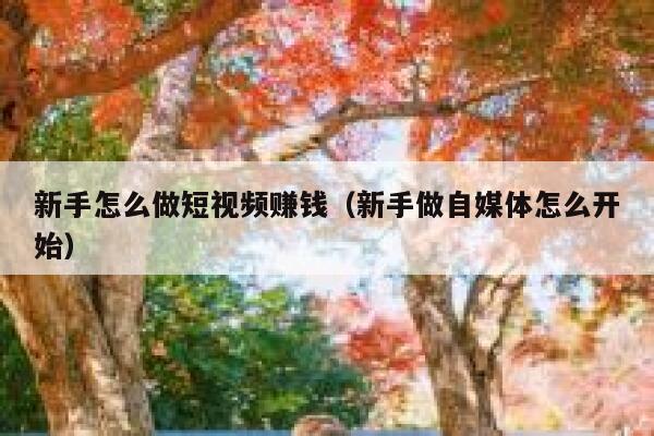 新手怎么做短视频赚钱（新手做自媒体怎么开始） 第1张