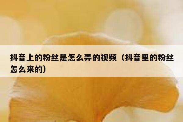 抖音上的粉丝是怎么弄的视频(抖音里的粉丝怎么来的) 第1张 抖音上的粉丝是怎么弄的视频(抖音里的粉丝怎么来的) 第1张