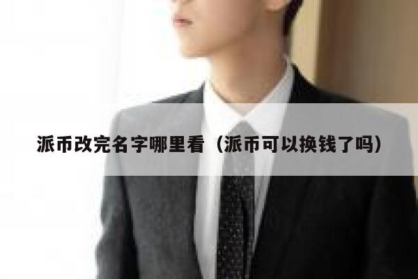 派币改完名字哪里看（派币可以换钱了吗） 第1张