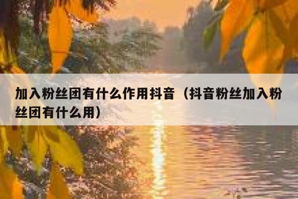 加入粉丝团有什么作用抖音（抖音粉丝加入粉丝团有什么用） 第1张