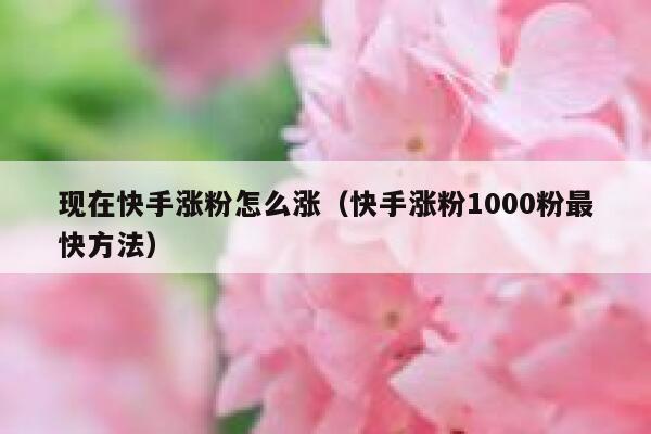 现在快手涨粉怎么涨（快手涨粉1000粉最快方法） 第1张