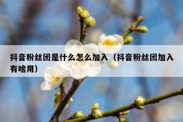 抖音粉丝团是什么怎么加入（抖音粉丝团加入有啥用） 第1张