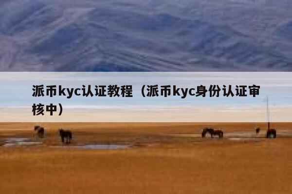派币kyc认证教程（派币kyc身份认证审核中） 第1张