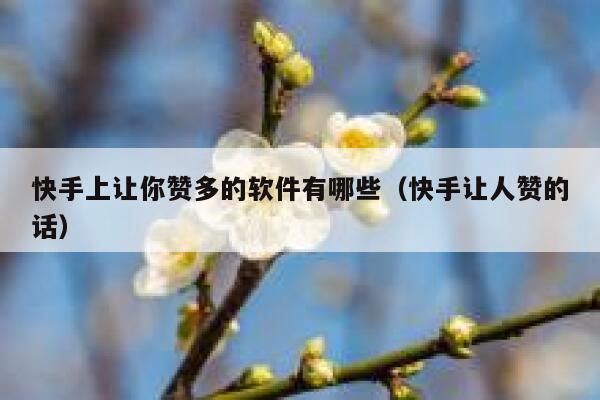快手上让你赞多的软件有哪些（快手让人赞的话） 第1张