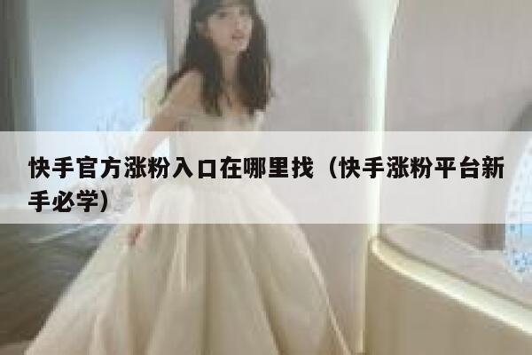 快手官方涨粉入口在哪里找（快手涨粉平台新手必学） 第1张