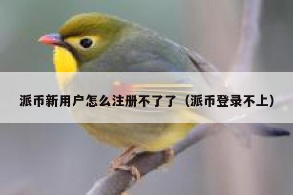 派币新用户怎么注册不了了(派币登录不上) 第1张 派币新用户怎么注册不了了(派币登录不上) 第1张