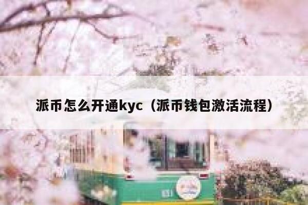 派币怎么开通kyc(派币钱包激活流程) 第1张 派币怎么开通kyc(派币钱包激活流程) 第1张