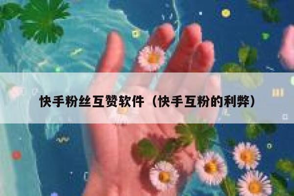 快手粉丝互赞软件（快手互粉的利弊） 第1张