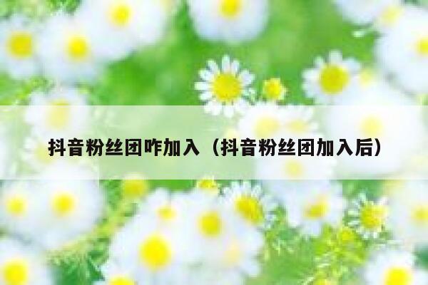 抖音粉丝团咋加入（抖音粉丝团加入后） 第1张