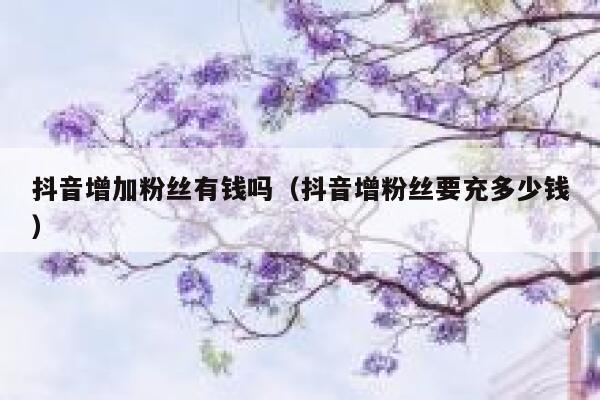 抖音增加粉丝有钱吗（抖音增粉丝要充多少钱） 第1张