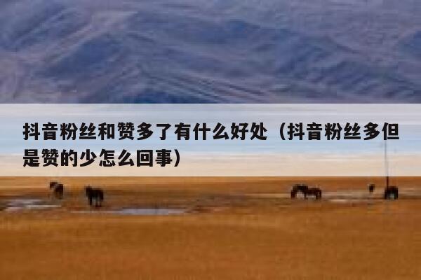 抖音粉丝和赞多了有什么好处（抖音粉丝多但是赞的少怎么回事） 第1张