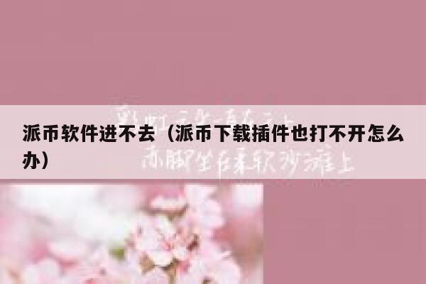 派币软件进不去（派币下载插件也打不开怎么办） 第1张