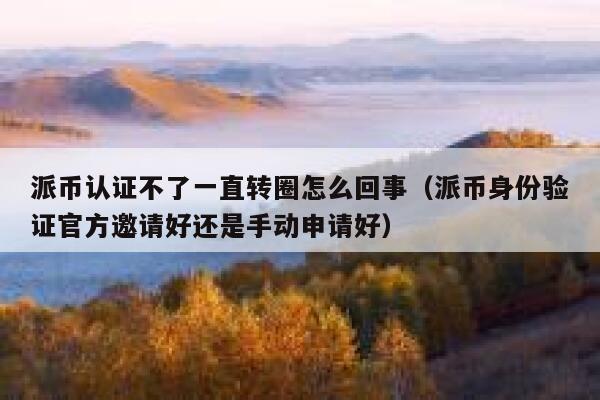 派币认证不了一直转圈怎么回事(派币身份验证官方邀请好还是手动申请好) 第1张 派币认证不了一直转圈怎么回事(派币身份验证官方邀请好还是手动申请好) 第1张