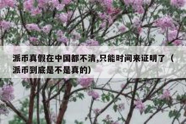 派币真假在中国都不清,只能时间来证明了(派币到底是不是真的) 第1张 派币真假在中国都不清,只能时间来证明了(派币到底是不是真的) 第1张