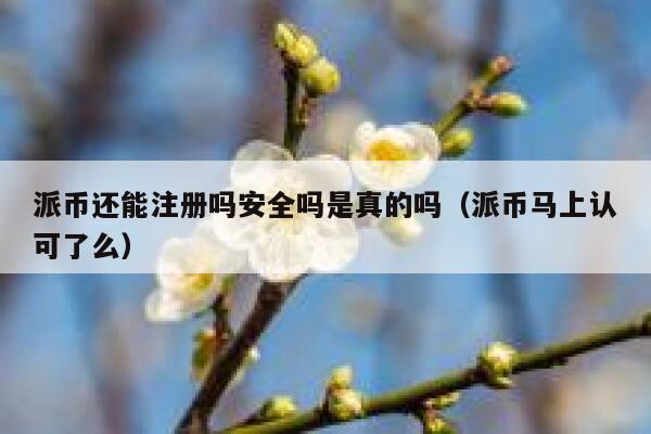 派币还能注册吗安全吗是真的吗(派币马上认可了么) 第1张 派币还能注册吗安全吗是真的吗(派币马上认可了么) 第1张