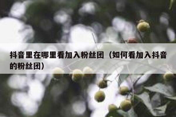 抖音里在哪里看加入粉丝团（如何看加入抖音的粉丝团） 第1张