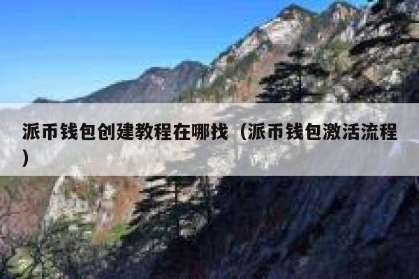 派币钱包创建教程在哪找（派币钱包激活流程） 第1张