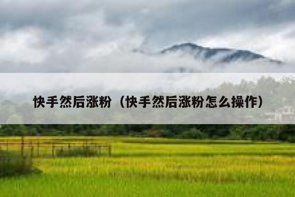 快手然后涨粉(快手然后涨粉怎么操作) 第1张 快手然后涨粉(快手然后涨粉怎么操作) 第1张