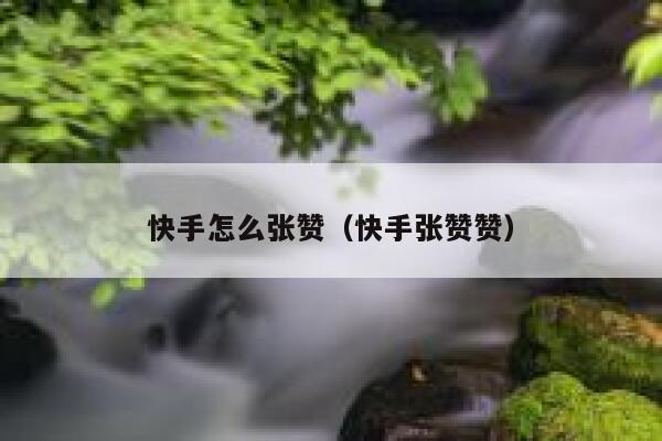 快手怎么张赞（快手张赞赞） 第1张