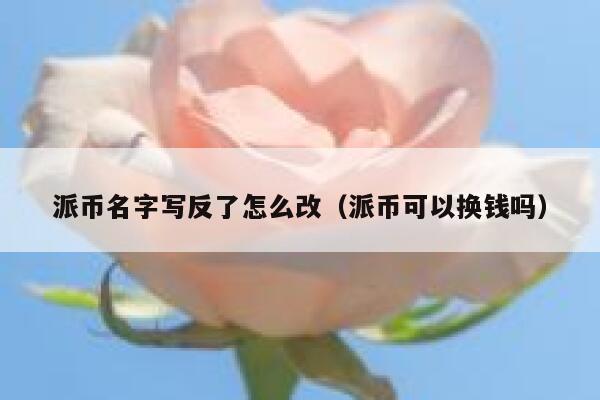 派币名字写反了怎么改(派币可以换钱吗) 第1张 派币名字写反了怎么改(派币可以换钱吗) 第1张