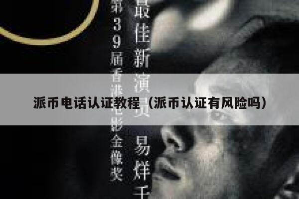 派币电话认证教程（派币认证有风险吗） 第1张