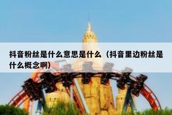 抖音粉丝是什么意思是什么(抖音里边粉丝是什么概念啊) 第1张 抖音粉丝是什么意思是什么(抖音里边粉丝是什么概念啊) 第1张