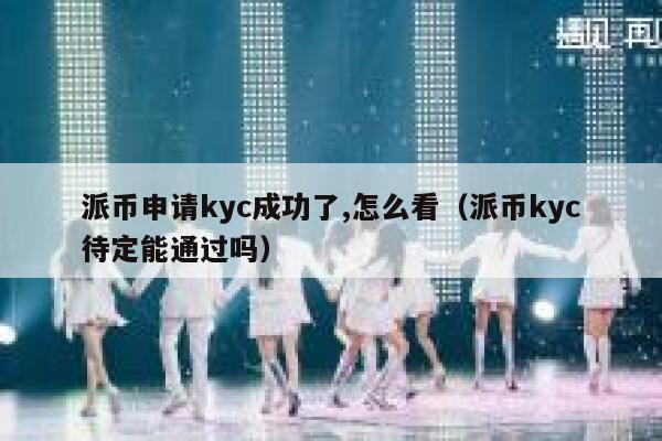 派币申请kyc成功了,怎么看（派币kyc待定能通过吗） 第1张