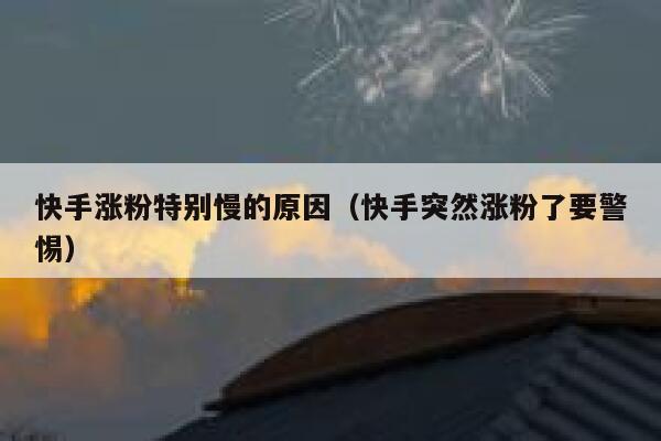 快手涨粉特别慢的原因(快手突然涨粉了要警惕) 第1张 快手涨粉特别慢的原因(快手突然涨粉了要警惕) 第1张