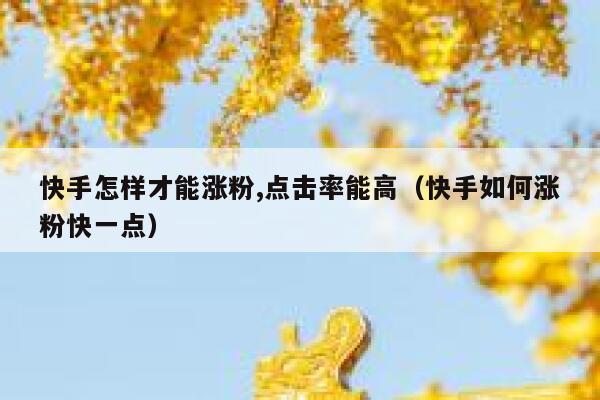快手怎样才能涨粉,点击率能高（快手如何涨粉快一点） 第1张