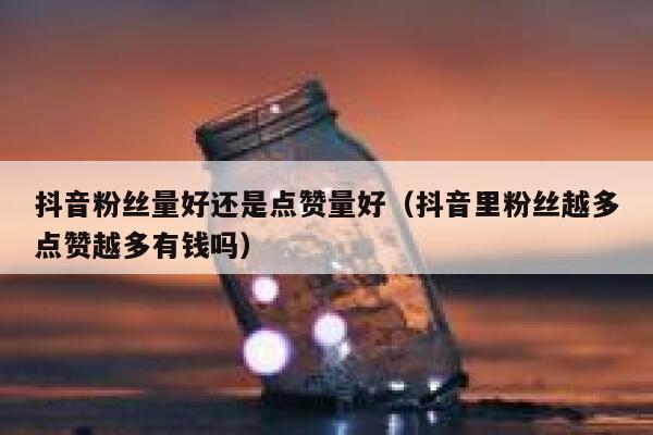 抖音粉丝量好还是点赞量好(抖音里粉丝越多点赞越多有钱吗) 第1张 抖音粉丝量好还是点赞量好(抖音里粉丝越多点赞越多有钱吗) 第1张