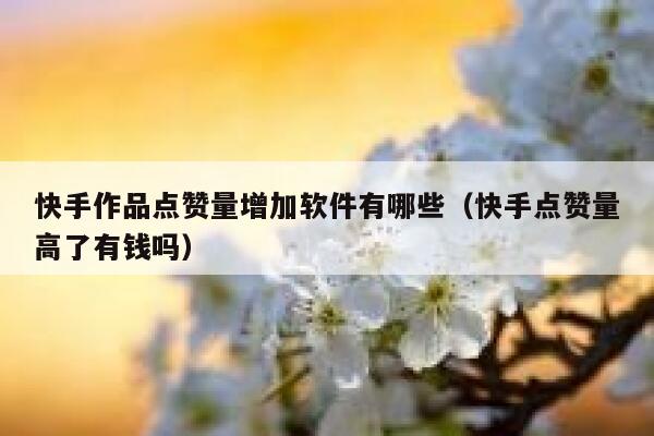 快手作品点赞量增加软件有哪些(快手点赞量高了有钱吗) 第1张 快手作品点赞量增加软件有哪些(快手点赞量高了有钱吗) 第1张