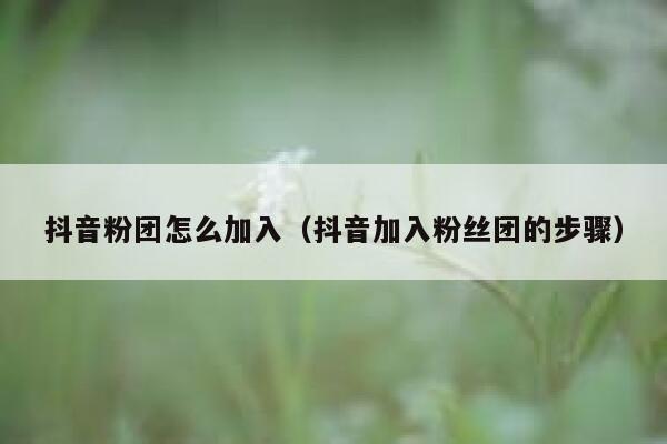 抖音粉团怎么加入(抖音加入粉丝团的步骤) 第1张 抖音粉团怎么加入(抖音加入粉丝团的步骤) 第1张