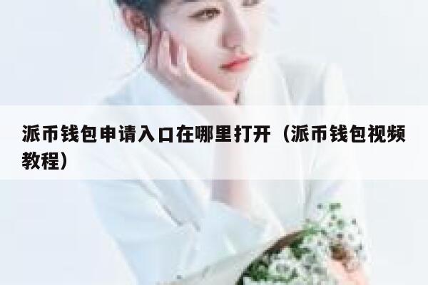 派币钱包申请入口在哪里打开（派币钱包视频教程） 第1张