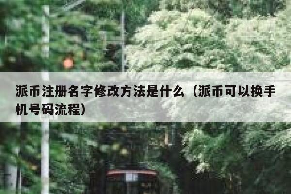 派币注册名字修改方法是什么（派币可以换手机号码流程） 第1张