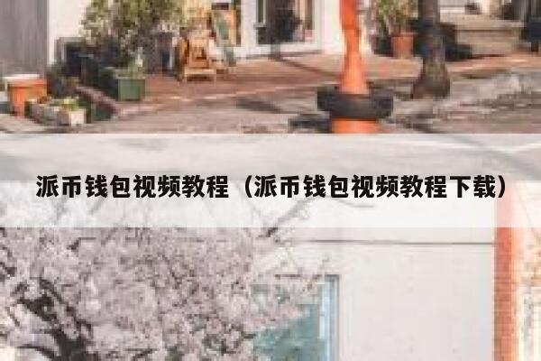 派币钱包视频教程（派币钱包视频教程下载） 第1张