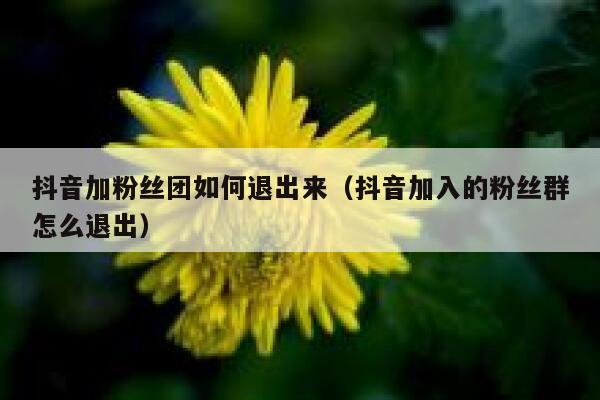 抖音加粉丝团如何退出来(抖音加入的粉丝群怎么退出) 第1张 抖音加粉丝团如何退出来(抖音加入的粉丝群怎么退出) 第1张