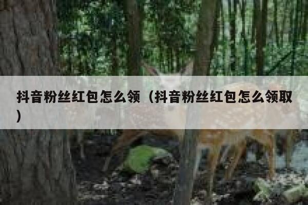抖音粉丝红包怎么领(抖音粉丝红包怎么领取) 第1张 抖音粉丝红包怎么领(抖音粉丝红包怎么领取) 第1张