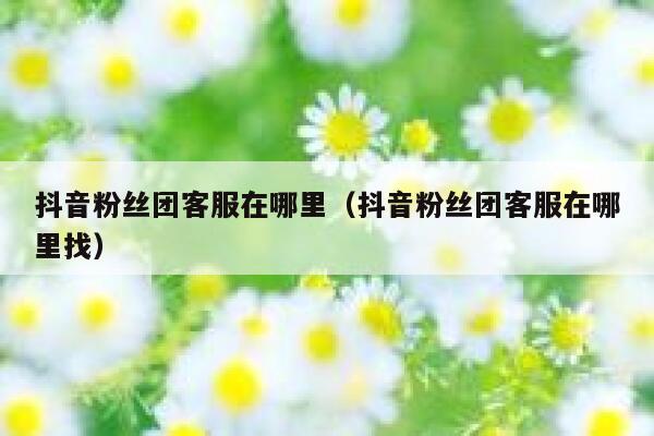 抖音粉丝团客服在哪里（抖音粉丝团客服在哪里找） 第1张