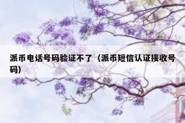 派币电话号码验证不了（派币短信认证接收号码） 第1张