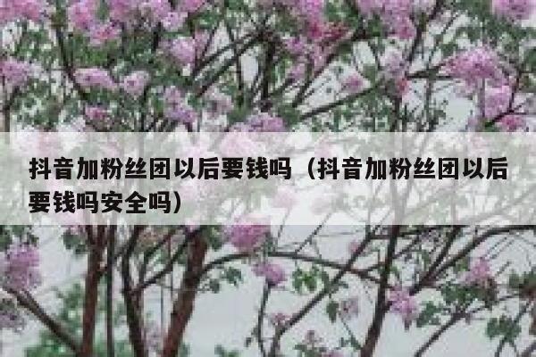 抖音加粉丝团以后要钱吗(抖音加粉丝团以后要钱吗安全吗) 第1张 抖音加粉丝团以后要钱吗(抖音加粉丝团以后要钱吗安全吗) 第1张
