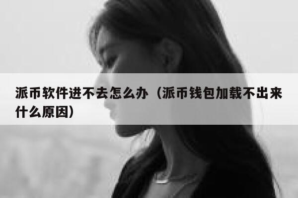 派币软件进不去怎么办(派币钱包加载不出来什么原因) 第1张 派币软件进不去怎么办(派币钱包加载不出来什么原因) 第1张
