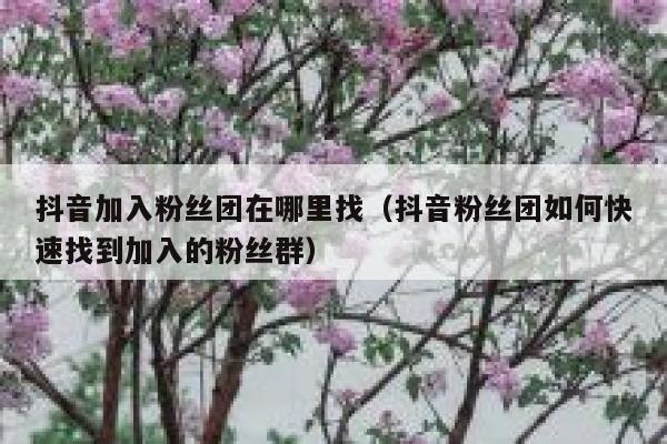 抖音加入粉丝团在哪里找(抖音粉丝团如何快速找到加入的粉丝群) 第1张 抖音加入粉丝团在哪里找(抖音粉丝团如何快速找到加入的粉丝群) 第1张