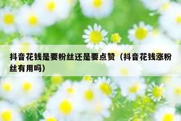 抖音花钱是要粉丝还是要点赞（抖音花钱涨粉丝有用吗） 第1张